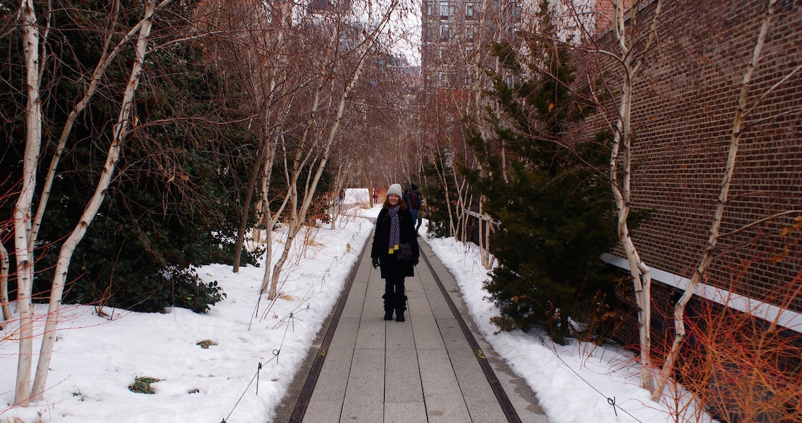 The High Line Winter in New York (© Sara Chardin)