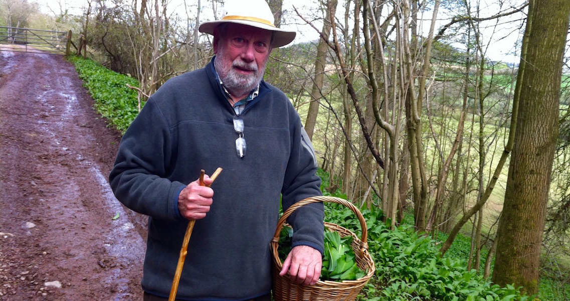 Basket of foraged wild ramson