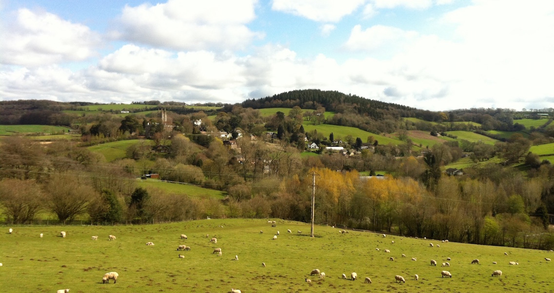 Looking back to Newland