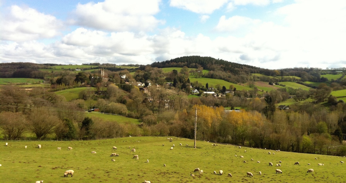 Looking back to Newland