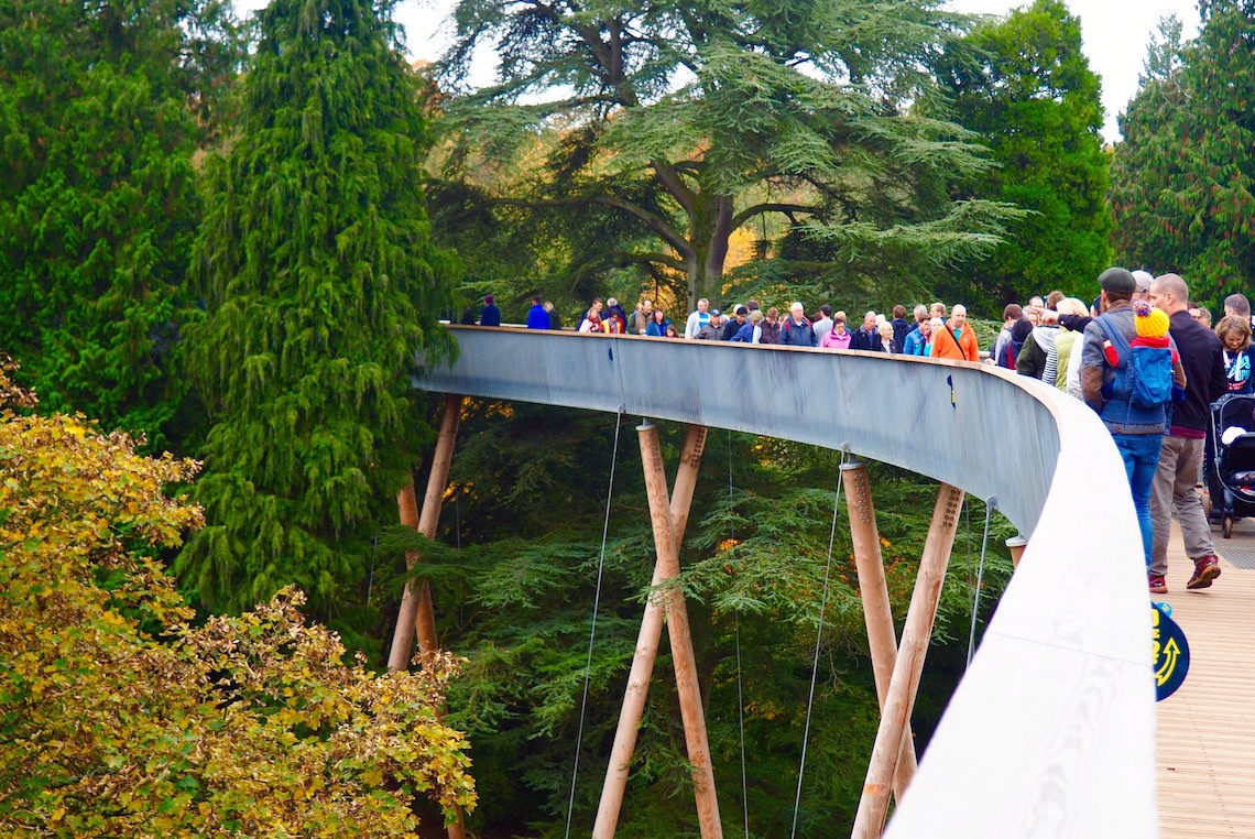 The Treetop Walkway