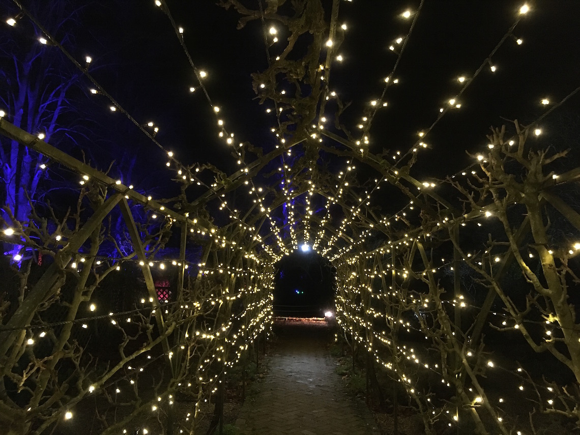 Tunnel of lights