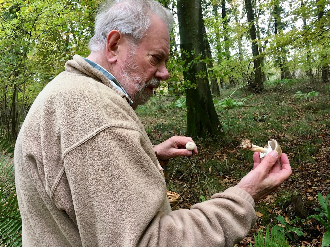 Mr Raoul Van den Broucke (foraging guide)