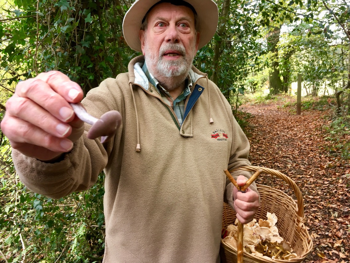 Raoul with a wood blewit