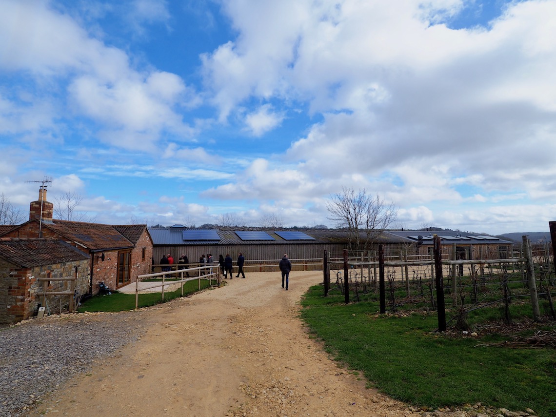 Woodchester Valley Vineyard