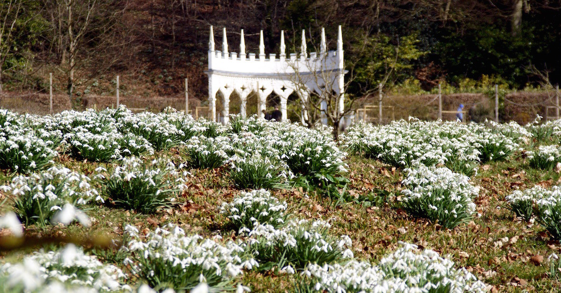 Rococo Garden (© Sara Chardin)