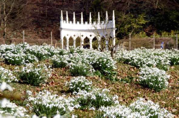 Rococo Garden (© Sara Chardin)