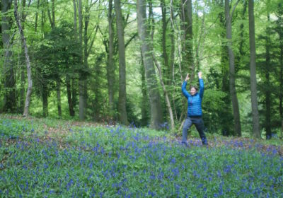 Shinrin-yoku forest bathing