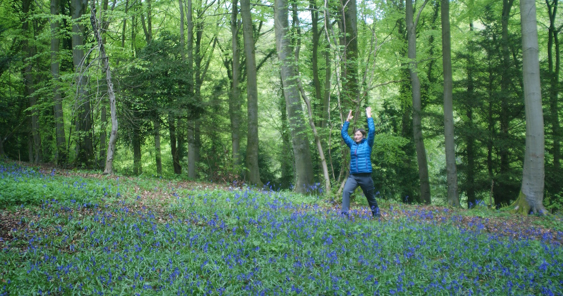 Shinrin-yoku forest bathing