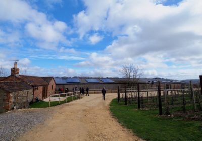 Woodchester Valley Vineyard